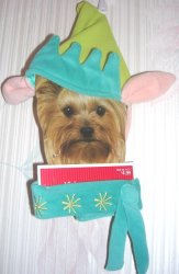 (image for) Dog Elf Hat and Collar