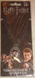 (image for) Harry Potter Framed Undesirable No. 1 Single Chain Necklace