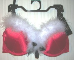 (image for) Holiday Christmas Santa Bra Passion Forever 36D Padded Underwire