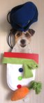 (image for) Dog Snowman Costume XS/S XSmall Small