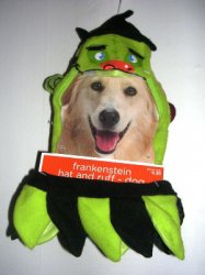 (image for) Dog Pet Costume Hat and Ruff Frankenstein